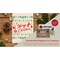 COLOP Blissful Prints ( LIMITED EDITION) Holiday Stamp Set, 9 Piece Giftable Christmas Stamp Set with Decorative Box, Stamps for Christmas Cards, Gift Tags, and Holiday Scrapbooking (Christmas)